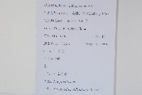 江南卷柏藏品圖，第2張