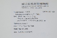 地刷子藏品圖，第2張