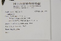 登錄號:P011829藏品圖，第2張