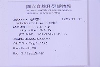 生芽鐵角蕨藏品圖，第2張