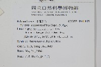 尖嘴蕨藏品圖，第2張