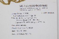 過山龍藏品圖，第2張