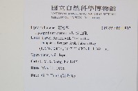 過山龍藏品圖，第2張