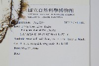 登錄號:P011842藏品圖，第2張