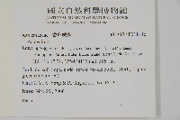 登錄號:P011846藏品圖，第2張