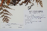 登錄號:P011847藏品圖，第2張