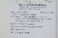 雙扇蕨藏品圖，第2張