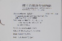 翅軸假金星蕨、短柄卵果蕨藏品圖，第2張