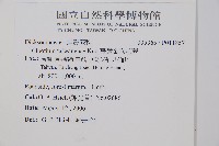 臺灣金狗毛蕨藏品圖，第2張