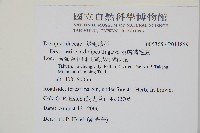 落鱗鱗毛蕨藏品圖，第2張