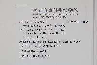 半邊羽裂鳳尾蕨藏品圖，第2張