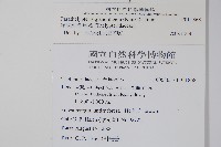 密腺副金星蕨藏品圖，第2張