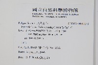 絨毛石葦藏品圖，第2張