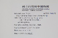 萬年松藏品圖，第2張