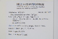 宿蹄蓋蕨藏品圖，第2張