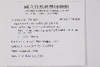 鱗柄鐵角蕨藏品圖，第2張