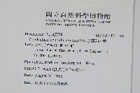 薄葉碎米蕨藏品圖，第2張