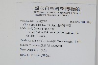 臺灣粉背蕨藏品圖，第2張