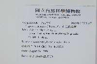 三葉茀蕨藏品圖，第2張