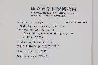 腎蕨藏品圖，第2張