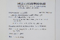 瓦葦藏品圖，第2張