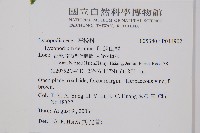 過山龍藏品圖，第2張