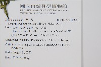 裡白藏品圖，第2張