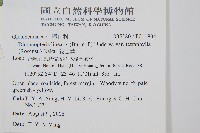 蔓芒萁藏品圖，第2張