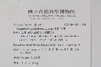 生根卷柏藏品圖，第2張