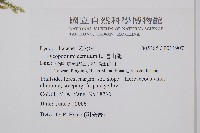 過山龍藏品圖，第2張