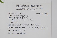 鱗蓋鳳尾蕨藏品圖，第2張