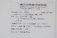 毛蕨藏品圖，第2張