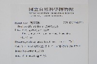 箭葉鳳尾蕨藏品圖，第2張