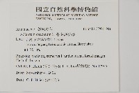 鞭葉鐵線蕨藏品圖，第2張