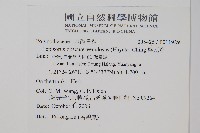 粵瓦葦藏品圖，第2張