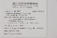 薄葉孔雀鐵角蕨、邊孢鐵角蕨藏品圖，第2張