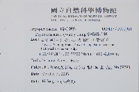 桫欏鱗毛蕨藏品圖，第2張