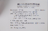 大膜蓋蕨藏品圖，第2張