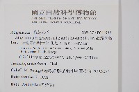 姬蹄蓋蕨藏品圖，第2張