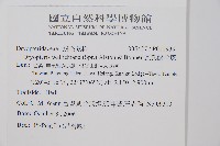 瓦氏鱗毛蕨藏品圖，第2張