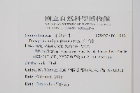 穴子蕨藏品圖，第2張