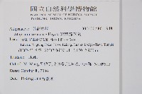 蓬萊蹄蓋蕨藏品圖，第2張