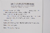 長葉鱗毛蕨藏品圖，第2張