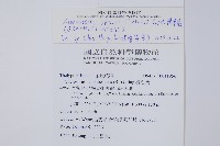 梳葉蕨藏品圖，第2張