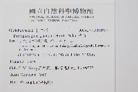 裡白藏品圖，第2張