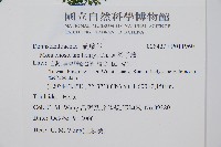 稀子蕨藏品圖，第2張