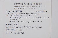 對生蹄蓋蕨藏品圖，第2張