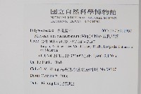 波氏星蕨藏品圖，第2張