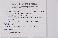 鱗柄鐵角蕨藏品圖，第2張