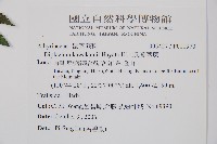 川上氏雙蓋蕨藏品圖，第2張